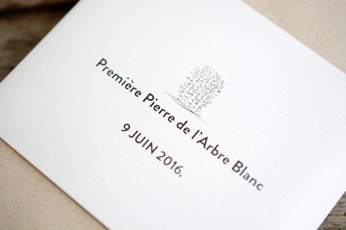 montpellier_arbre_blanc.JPG