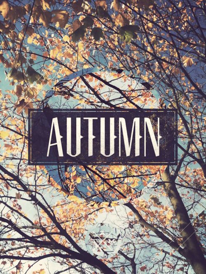 autumn typo