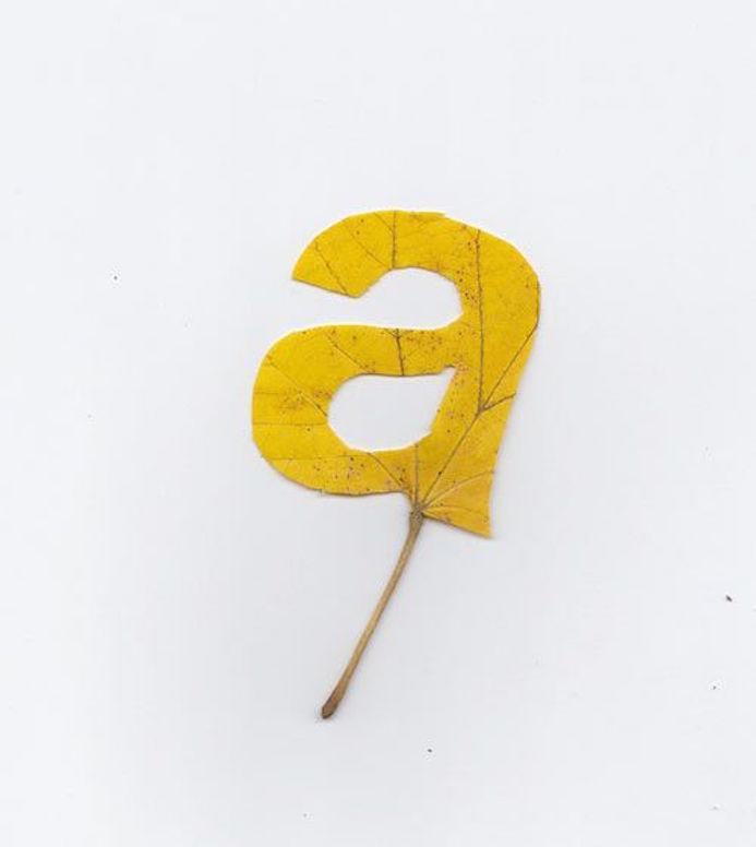 typo automne