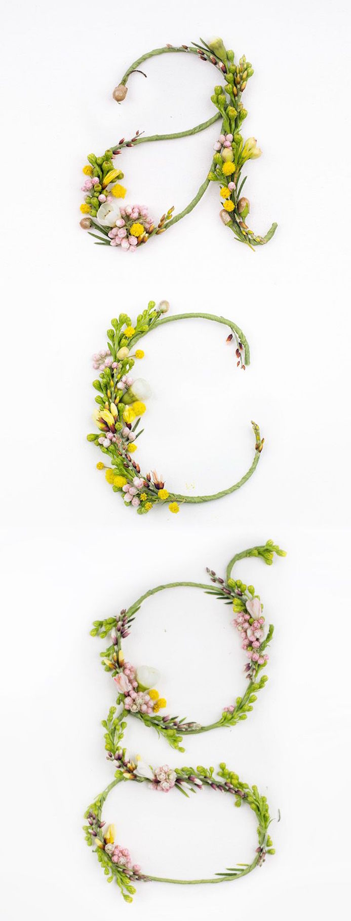 fleurs typo