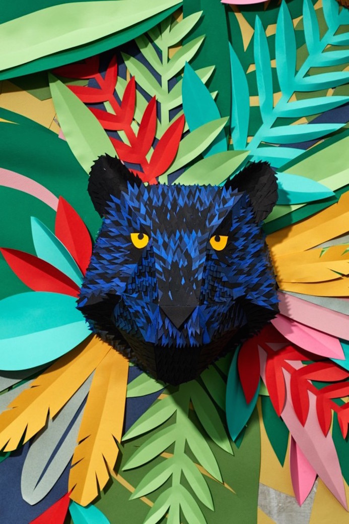 tropical jungle