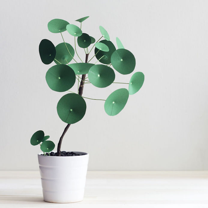 Paper plant