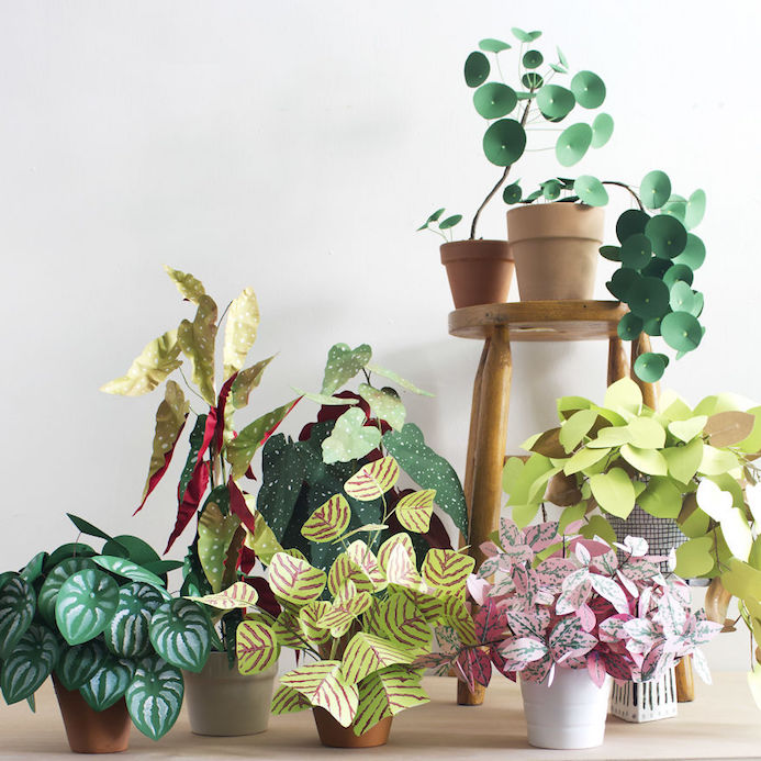 jardin en papier