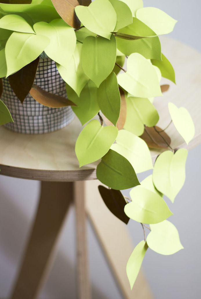 leaf in paper