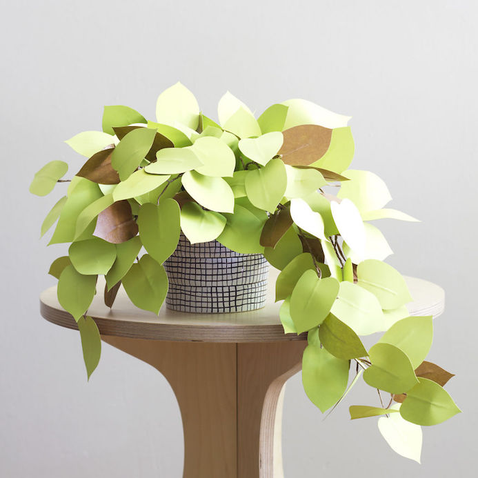 paper leaf