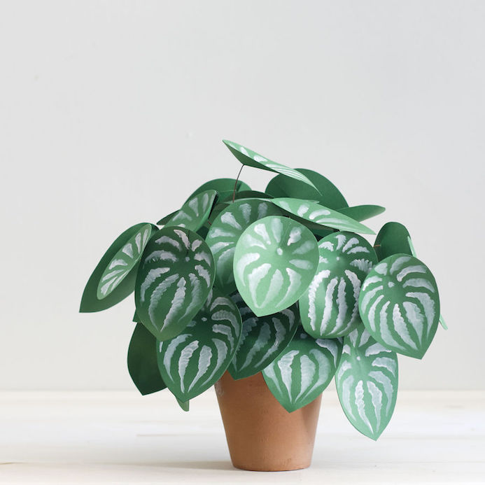 plante en papier