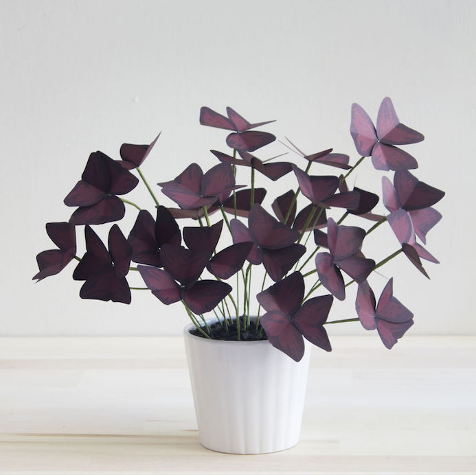 plants made from paper