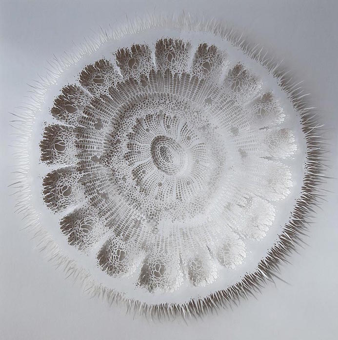 Rogan Brown paper art 2