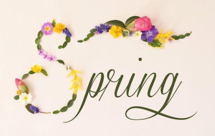 Carnet de typographie #91 : Spring