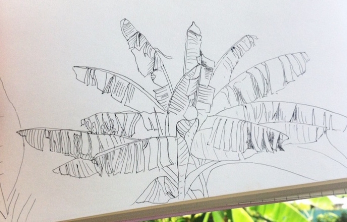 Carnet de dessin d&#039;Hélène Ducrocq en Guadeloupe